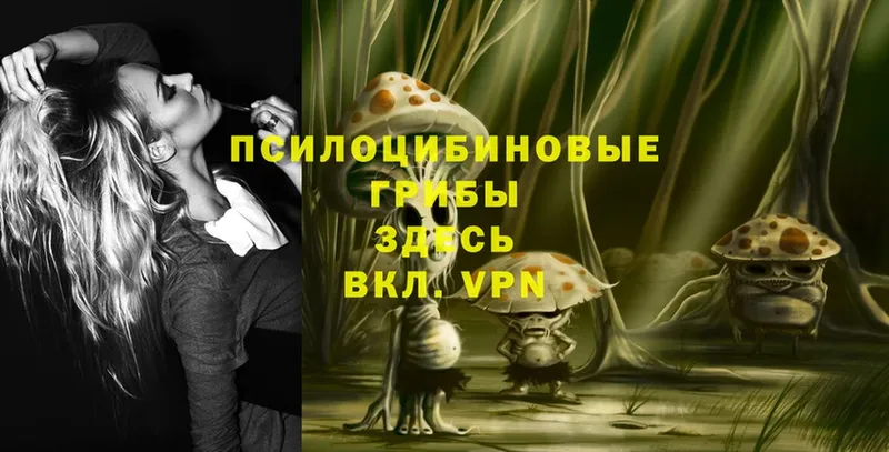 Псилоцибиновые грибы Psilocybe  ссылка на мегу tor  Тюмень  магазин продажи  